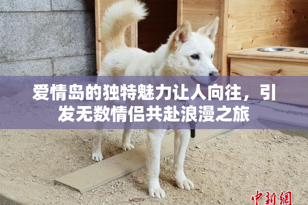 爱情岛的独特魅力让人向往，引发无数情侣共赴浪漫之旅