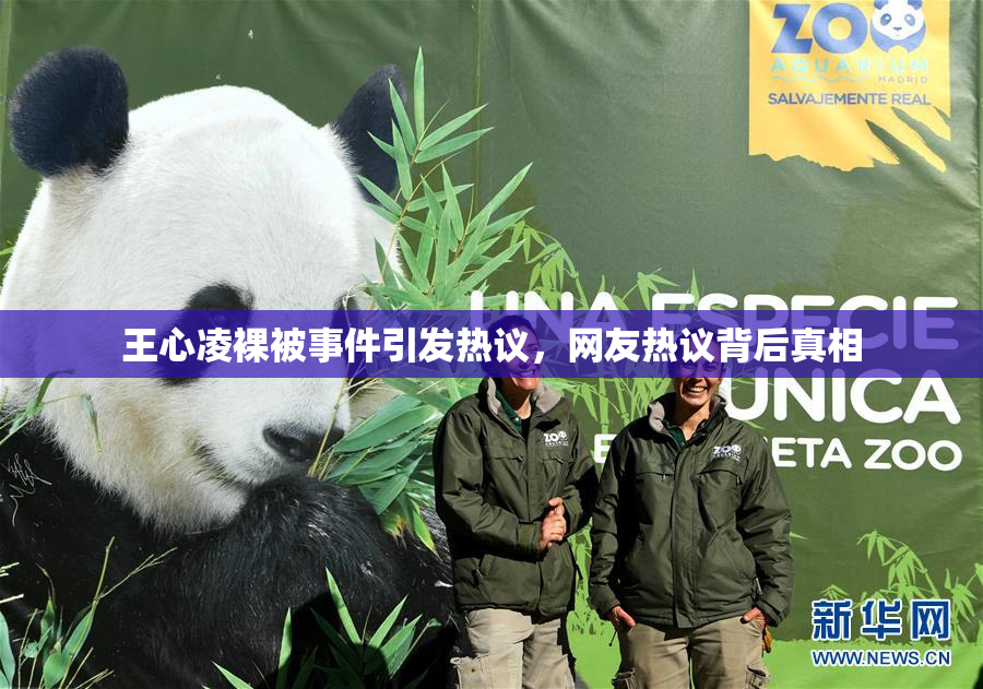 王心凌裸被事件引发热议，网友热议背后真相