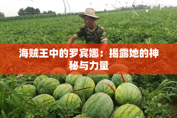 海贼王中的罗宾娜：揭露她的神秘与力量