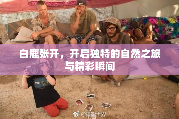 白鹿张开，开启独特的自然之旅与精彩瞬间