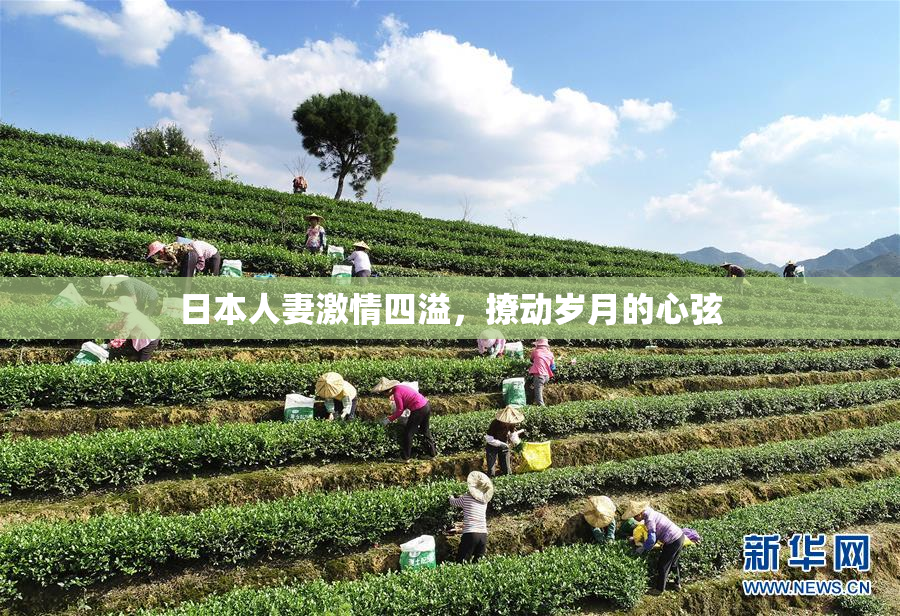 日本人妻激情四溢，撩动岁月的心弦