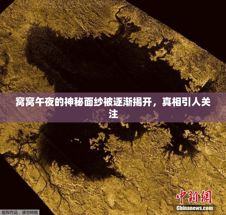 窝窝午夜的神秘面纱被逐渐揭开，真相引人关注