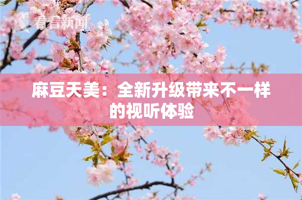麻豆天美：全新升级带来不一样的视听体验