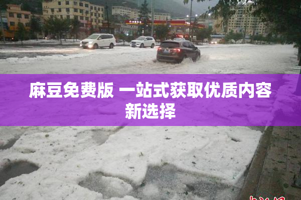 麻豆免费版 一站式获取优质内容新选择