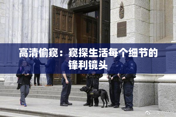高清偷窥：窥探生活每个细节的锋利镜头