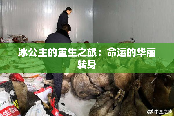 冰公主的重生之旅：命运的华丽转身