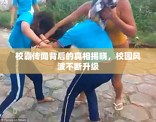 校霸传闻背后的真相揭晓，校园风波不断升级