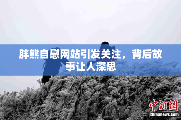 胖熊自慰网站引发关注，背后故事让人深思