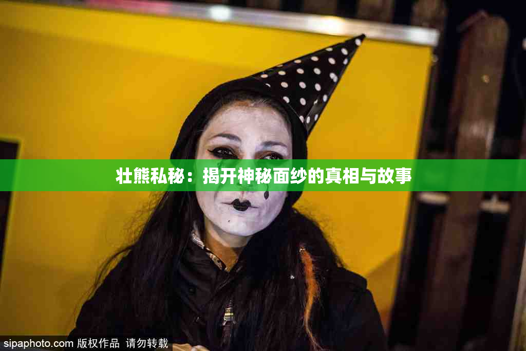 壮熊私秘：揭开神秘面纱的真相与故事