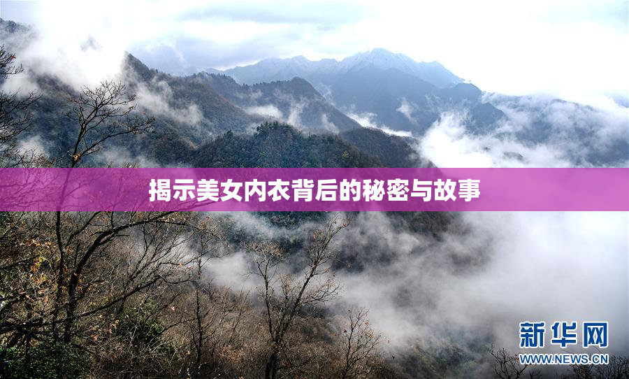 揭示美女内衣背后的秘密与故事