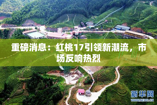 重磅消息：红桃17引领新潮流，市场反响热烈