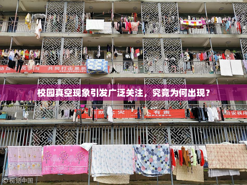 校园真空现象引发广泛关注，究竟为何出现？