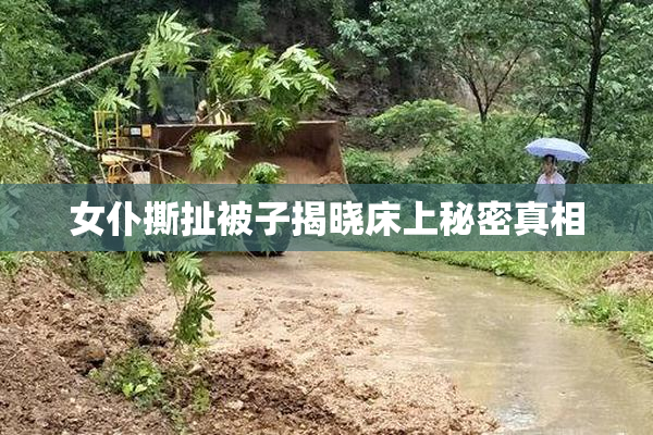 女仆撕扯被子揭晓床上秘密真相