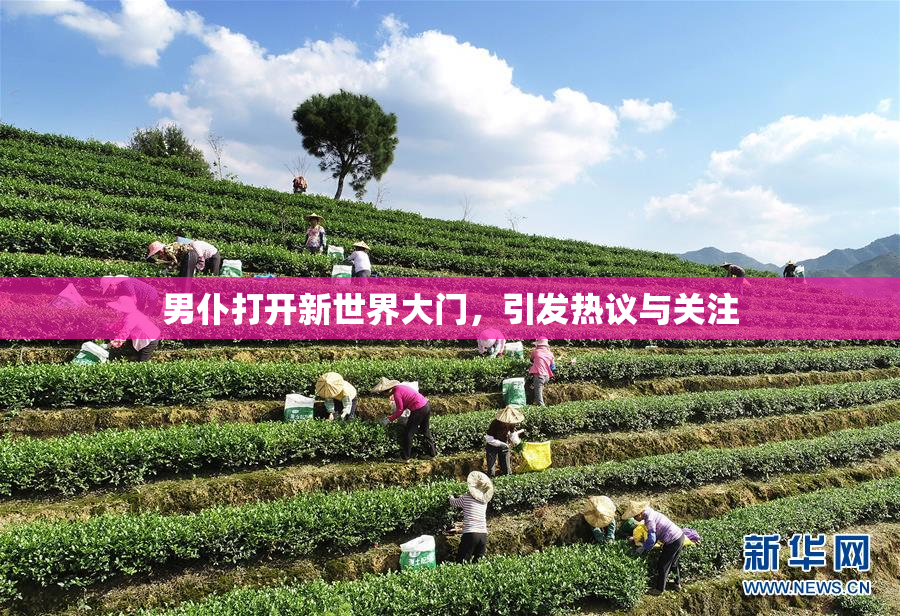 男仆打开新世界大门，引发热议与关注