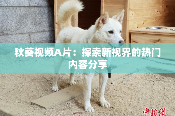 秋葵视频A片：探索新视界的热门内容分享