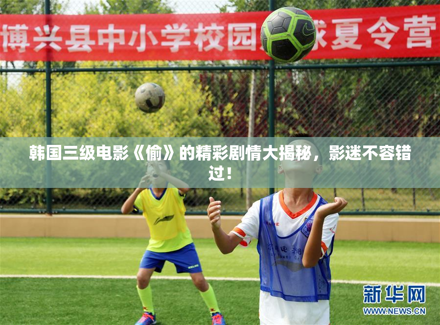 韩国三级电影《偷》的精彩剧情大揭秘，影迷不容错过！
