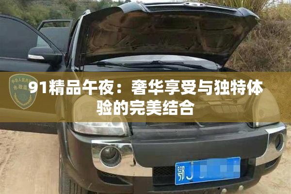 91精品午夜：奢华享受与独特体验的完美结合
