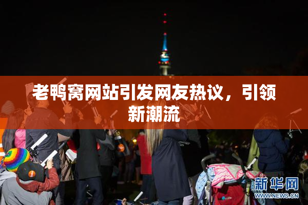 老鸭窝网站引发网友热议，引领新潮流
