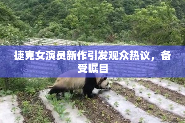 捷克女演员新作引发观众热议，备受瞩目