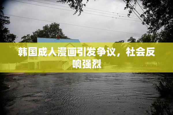 韩国成人漫画引发争议，社会反响强烈