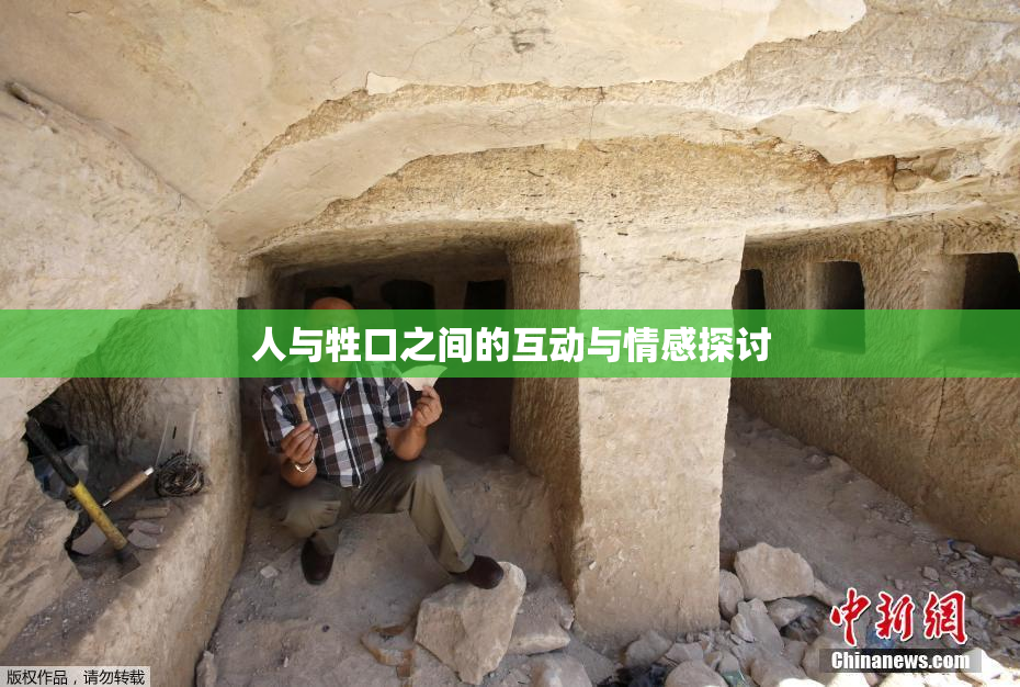 人与牲口之间的互动与情感探讨