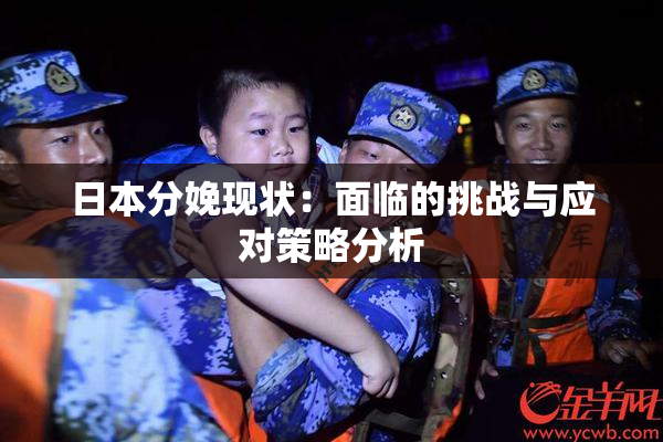 日本分娩现状：面临的挑战与应对策略分析
