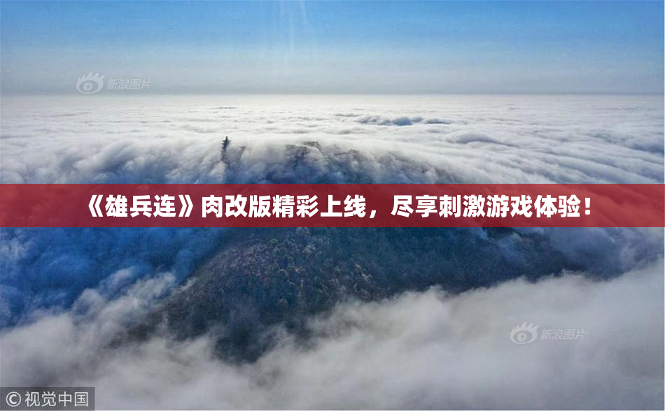 《雄兵连》肉改版精彩上线，尽享刺激游戏体验！
