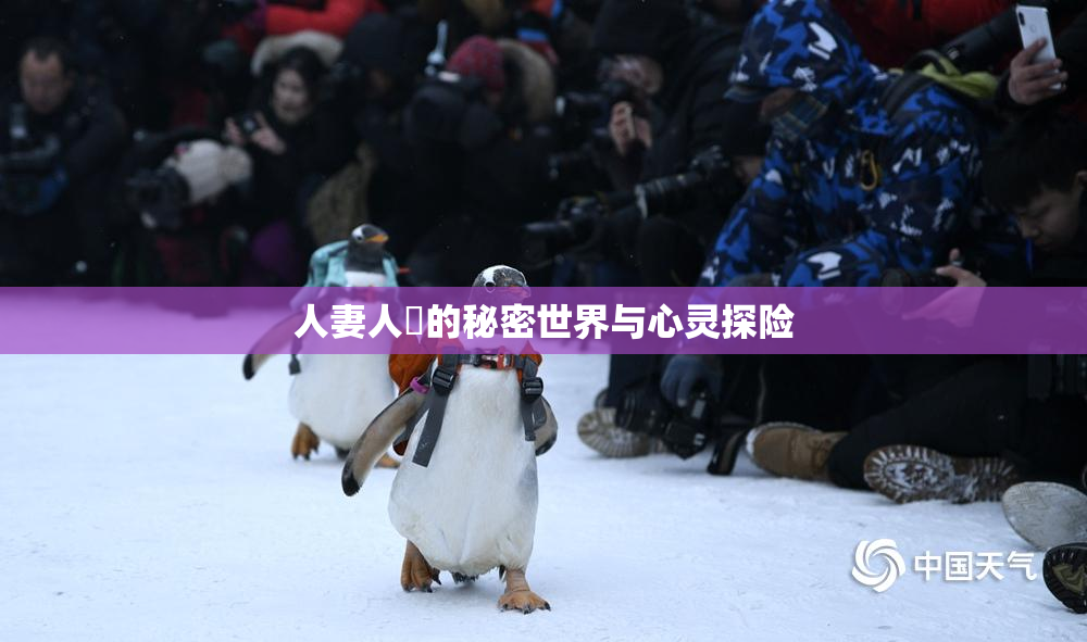 人妻人陰的秘密世界与心灵探险
