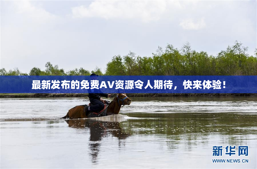 最新发布的免费AV资源令人期待，快来体验！