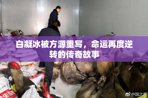 白凝冰被方源重写，命运再度逆转的传奇故事