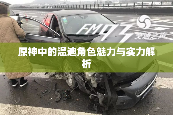 原神中的温迪角色魅力与实力解析