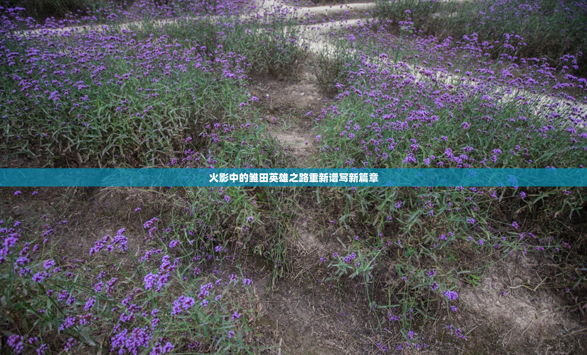 火影中的雏田英雄之路重新谱写新篇章