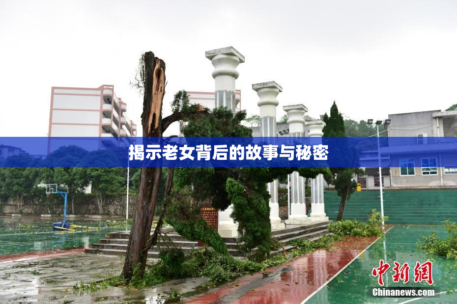 揭示老女背后的故事与秘密