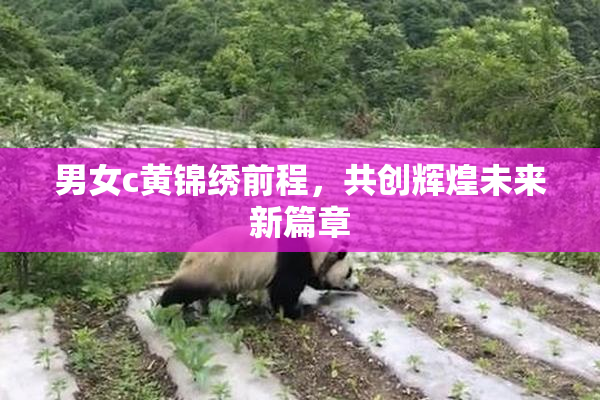 男女c黄锦绣前程，共创辉煌未来新篇章