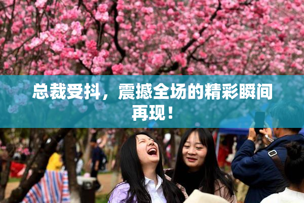总裁受抖，震撼全场的精彩瞬间再现！
