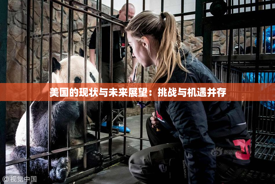 美国的现状与未来展望：挑战与机遇并存