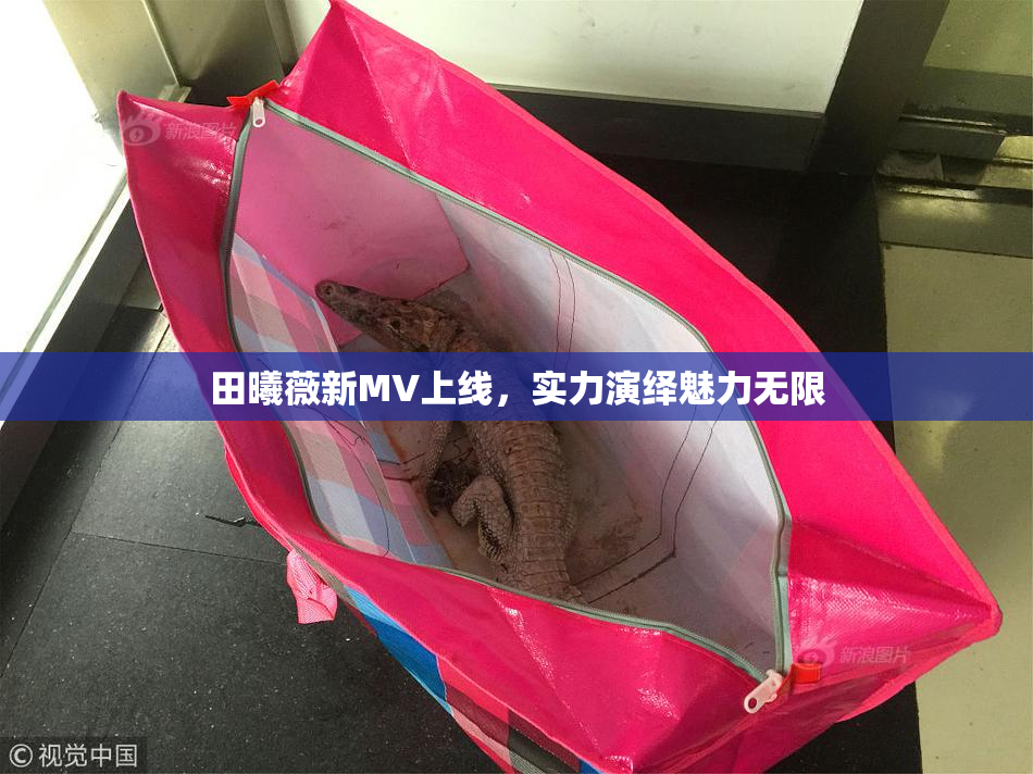 田曦薇新MV上线，实力演绎魅力无限