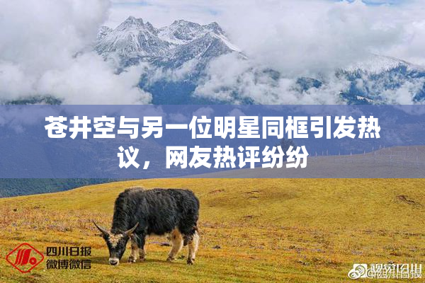 苍井空与另一位明星同框引发热议，网友热评纷纷