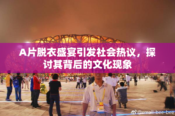 A片脱衣盛宴引发社会热议，探讨其背后的文化现象