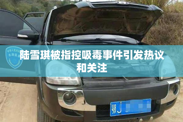 陆雪琪被指控吸毒事件引发热议和关注
