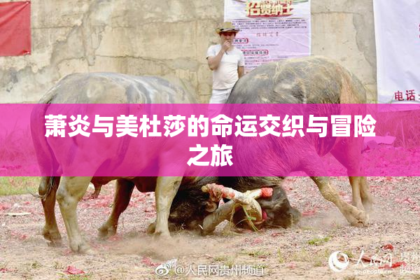 萧炎与美杜莎的命运交织与冒险之旅