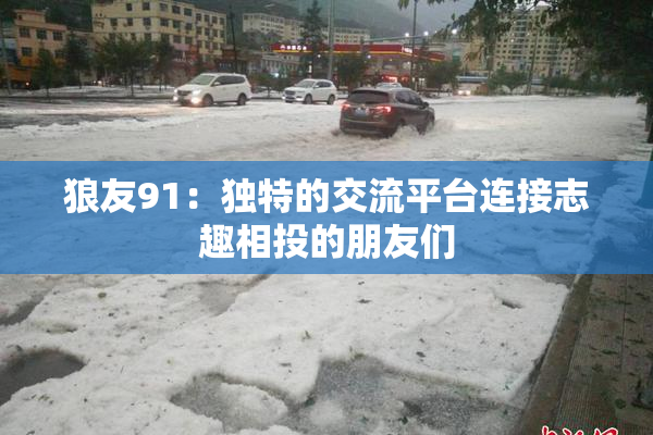 狼友91：独特的交流平台连接志趣相投的朋友们
