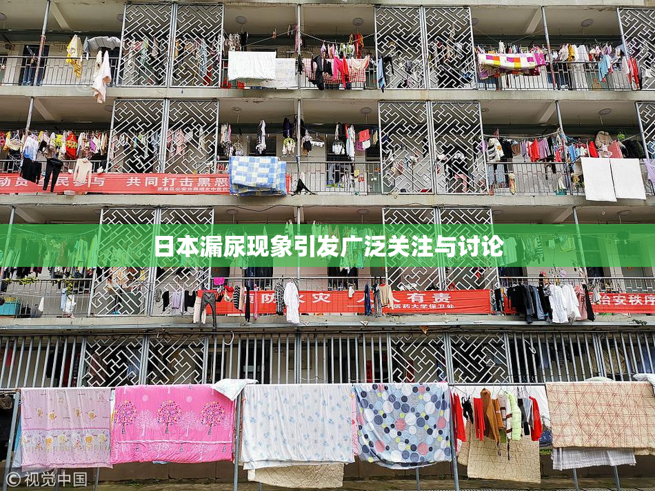 日本漏尿现象引发广泛关注与讨论