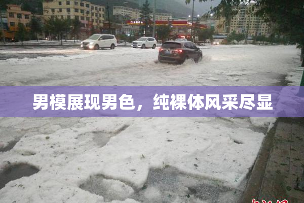 男模展现男色，纯裸体风采尽显