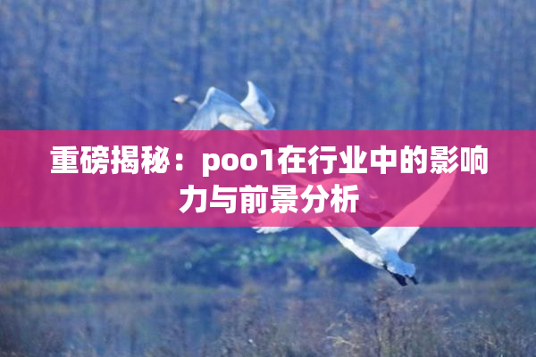 重磅揭秘：poo1在行业中的影响力与前景分析