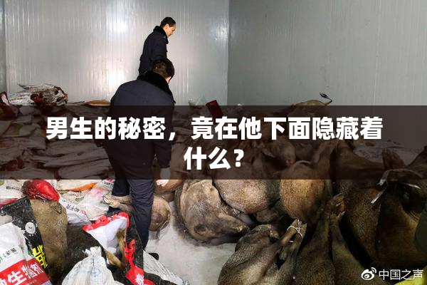 男生的秘密，竟在他下面隐藏着什么？