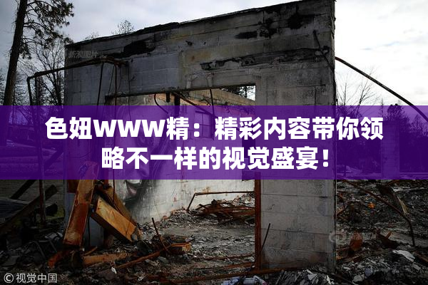 色妞WWW精：精彩内容带你领略不一样的视觉盛宴！
