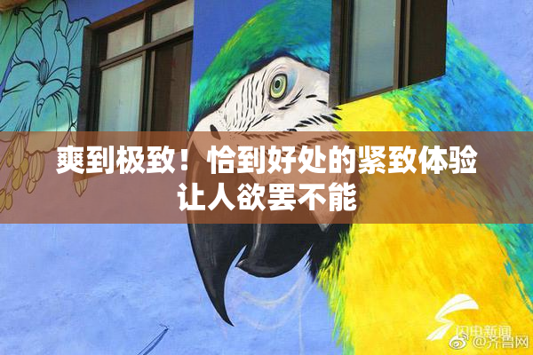 爽到极致！恰到好处的紧致体验让人欲罢不能