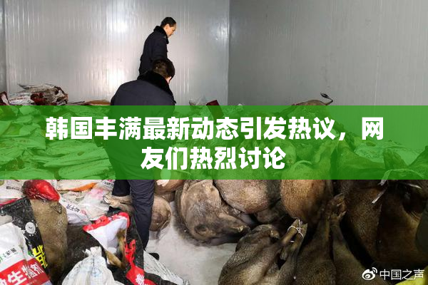 韩国丰满最新动态引发热议，网友们热烈讨论