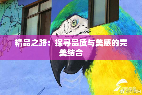 精品之路：探寻品质与美感的完美结合